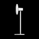 04.webp