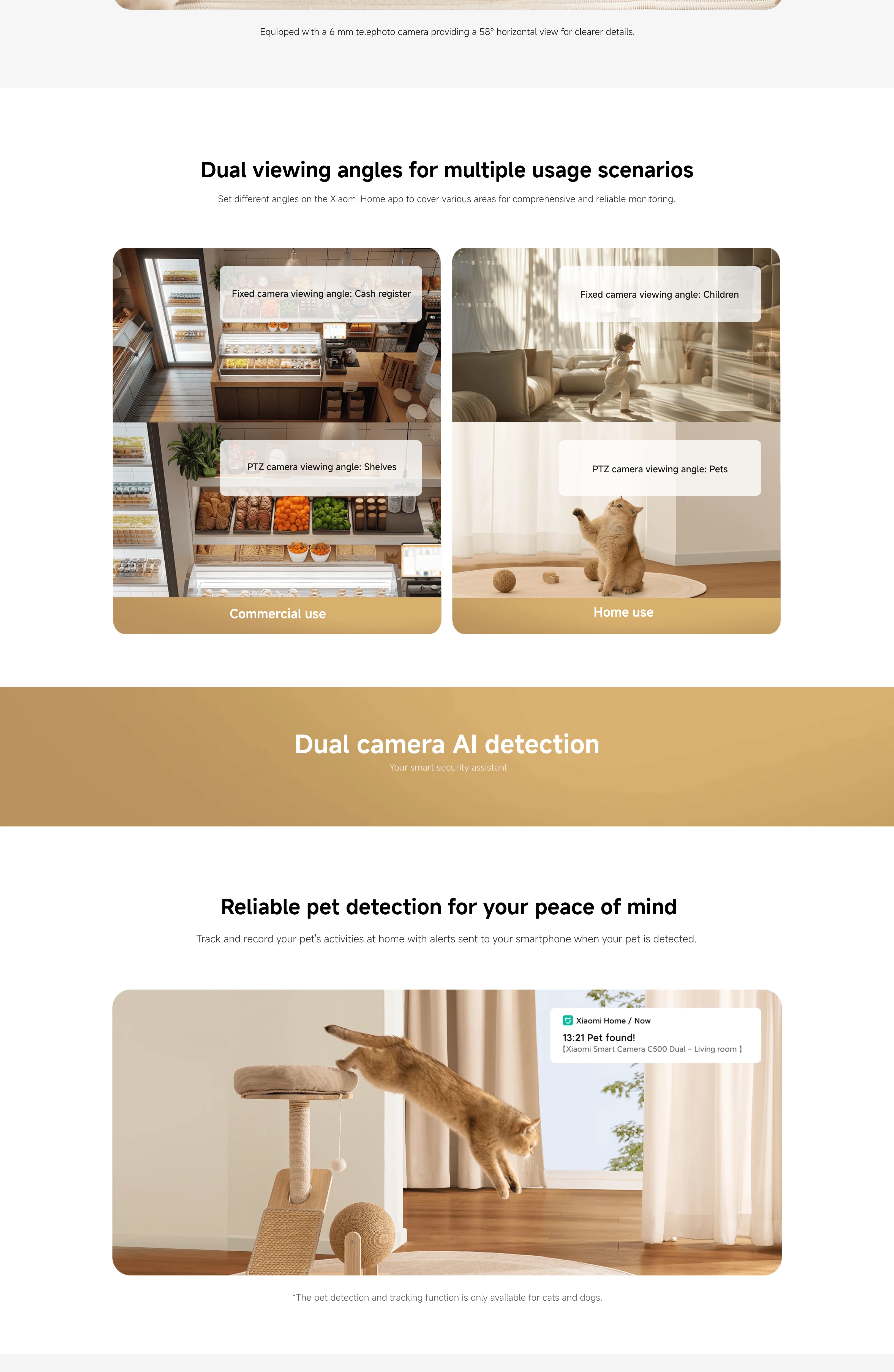 03.webp