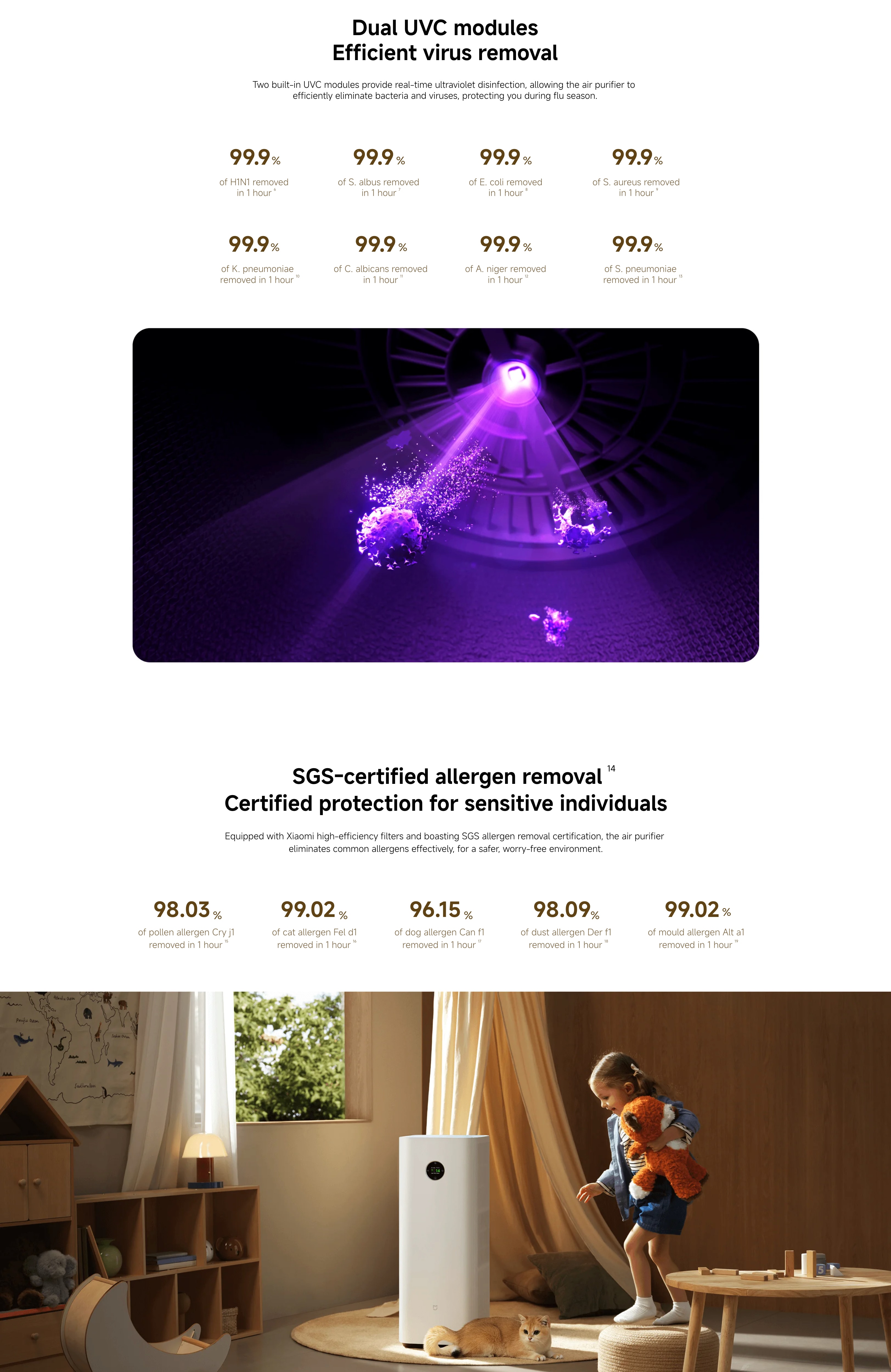 03.webp